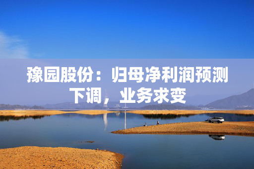 豫园股份：归母净利润预测下调，业务求变
