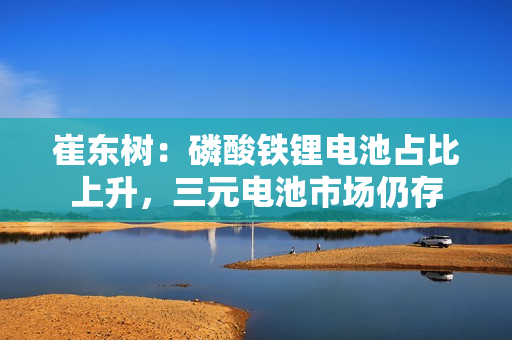 崔东树：磷酸铁锂电池占比上升，三元电池市场仍存