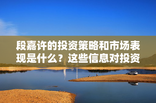 段嘉许的投资策略和市场表现是什么？这些信息对投资者有何帮助？