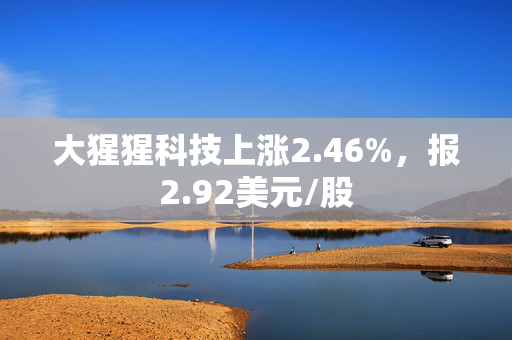 大猩猩科技上涨2.46%，报2.92美元/股