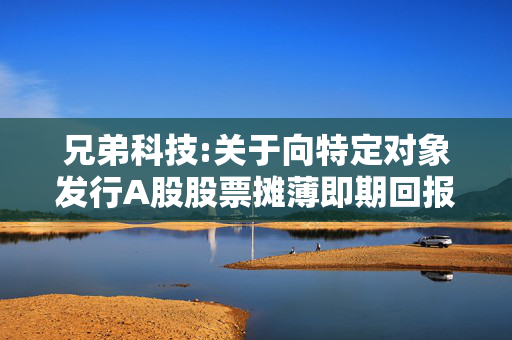 兄弟科技:关于向特定对象发行A股股票摊薄即期回报、填补措施及相关主体承诺（四次修订稿）的公告