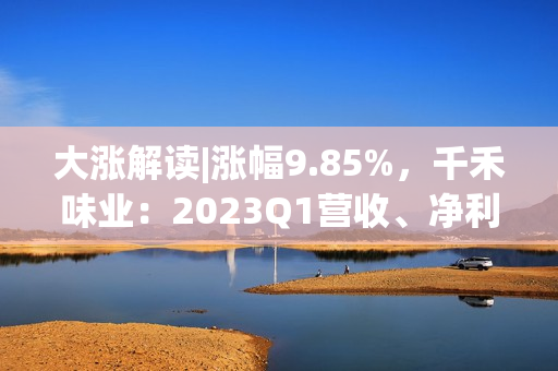 大涨解读|涨幅9.85%，千禾味业：2023Q1营收、净利润同步高增长