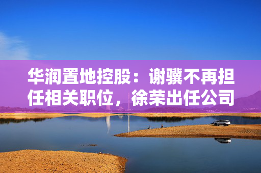 华润置地控股：谢骥不再担任相关职位，徐荣出任公司法定代表人、董事及总经理
