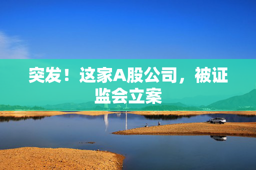 突发！这家A股公司，被证监会立案