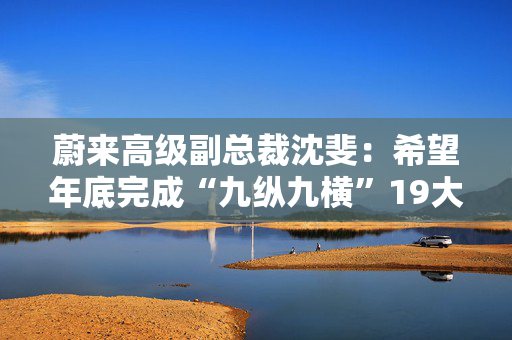 蔚来高级副总裁沈斐：希望年底完成“九纵九横”19大城市群高速换电网络建设