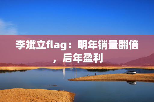 李斌立flag：明年销量翻倍，后年盈利