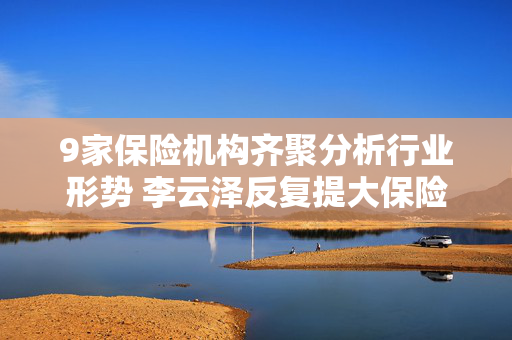 9家保险机构齐聚分析行业形势 李云泽反复提大保险观传递什么信号？