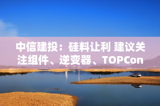 中信建投：硅料让利 建议关注组件、逆变器、TOPCon电池环节