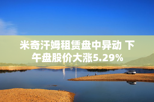 米奇汗姆租赁盘中异动 下午盘股价大涨5.29% 第1张