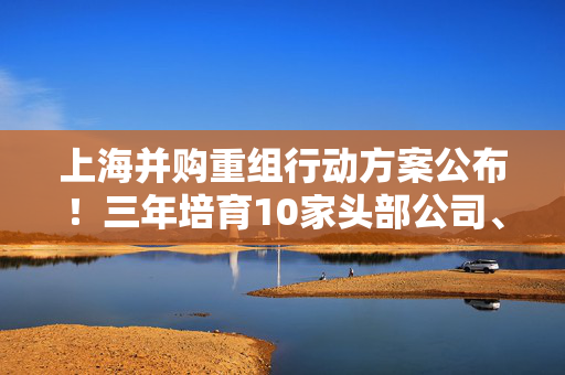 上海并购重组行动方案公布！三年培育10家头部公司、形成3000亿并购规模 第1张