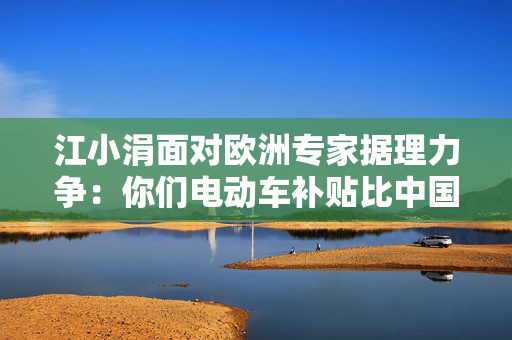 江小涓面对欧洲专家据理力争：你们电动车补贴比中国还高，为什么说我？