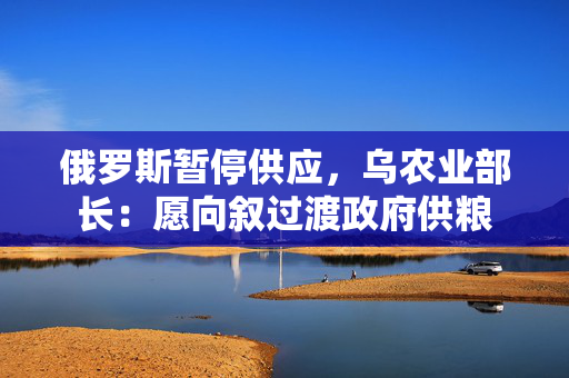 俄罗斯暂停供应，乌农业部长：愿向叙过渡政府供粮