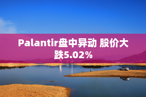 Palantir盘中异动 股价大跌5.02% 第1张