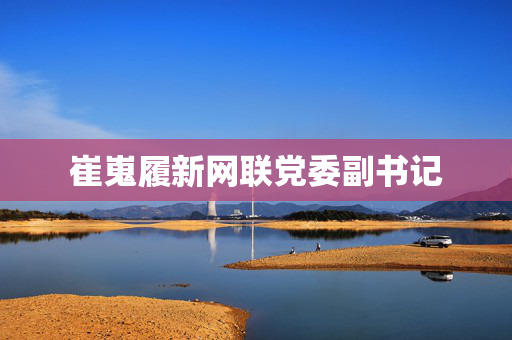 崔嵬履新网联党委副书记 第1张