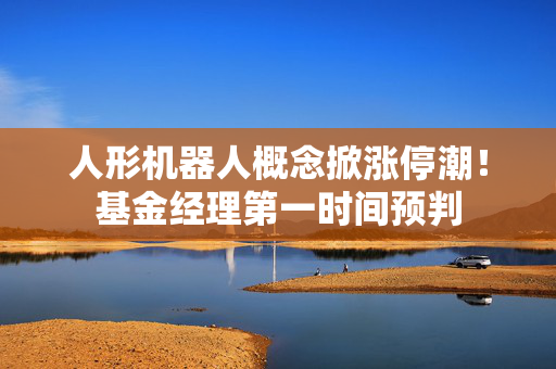 人形机器人概念掀涨停潮！基金经理第一时间预判