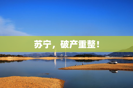 苏宁，破产重整！