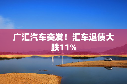 广汇汽车突发！汇车退债大跌11%