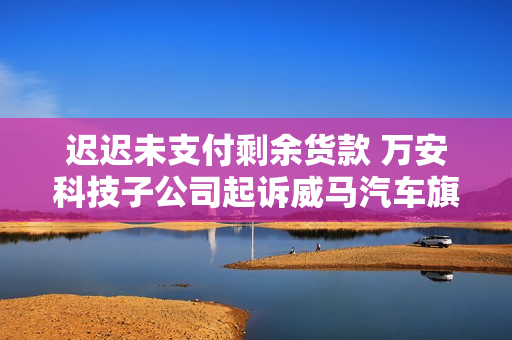迟迟未支付剩余货款 万安科技子公司起诉威马汽车旗下公司
