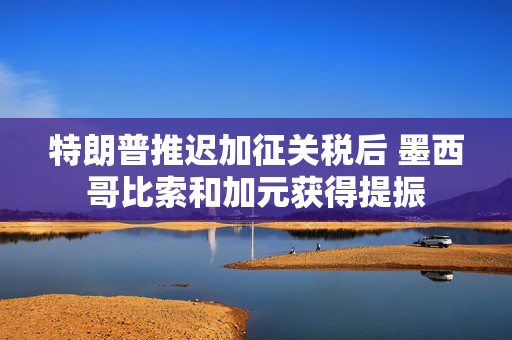 特朗普推迟加征关税后 墨西哥比索和加元获得提振