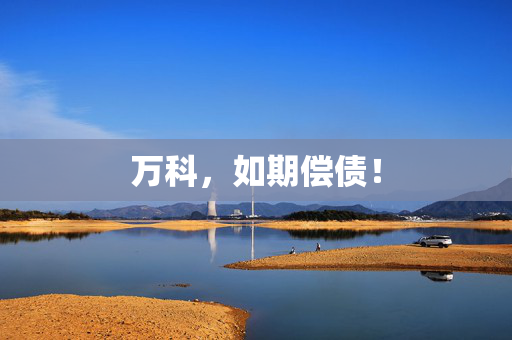 万科，如期偿债！