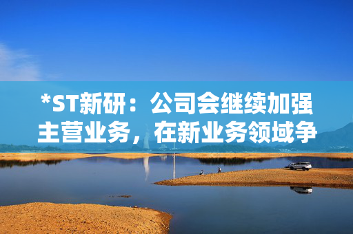*ST新研：公司会继续加强主营业务，在新业务领域争取更多的订单 第1张