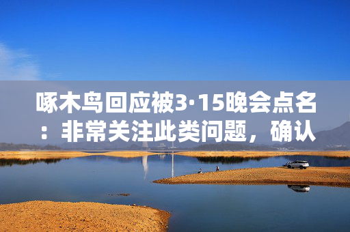 啄木鸟回应被3·15晚会点名：非常关注此类问题，确认属实将会对师傅进行严格处罚