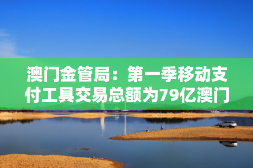 澳门金管局：第一季移动支付工具交易总额为79亿澳门元 同比上升8.7%