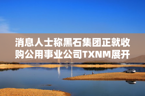 消息人士称黑石集团正就收购公用事业公司TXNM展开谈判