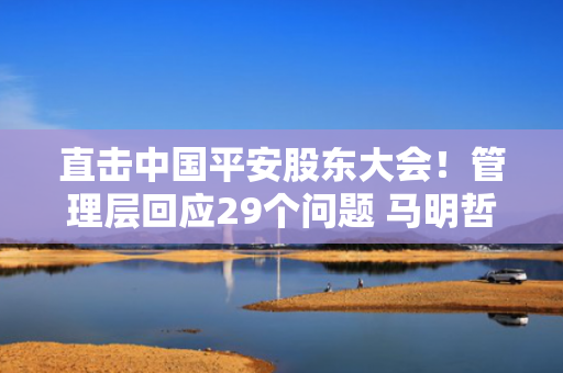 直击中国平安股东大会！管理层回应29个问题 马明哲发声！