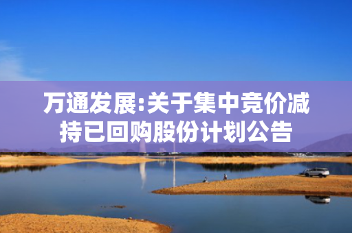 万通发展:关于集中竞价减持已回购股份计划公告