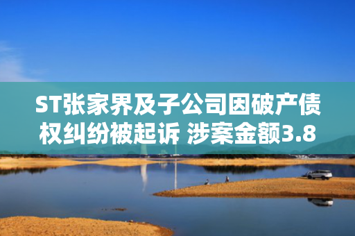 ST张家界及子公司因破产债权纠纷被起诉 涉案金额3.86亿元