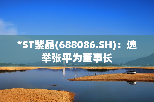 *ST紫晶(688086.SH)：选举张平为董事长