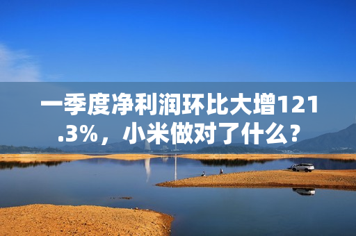 一季度净利润环比大增121.3%，小米做对了什么？