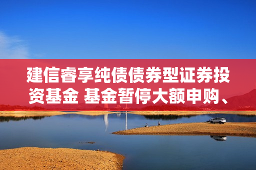 建信睿享纯债债券型证券投资基金 基金暂停大额申购、大额转换转入、 定期定额投资公告