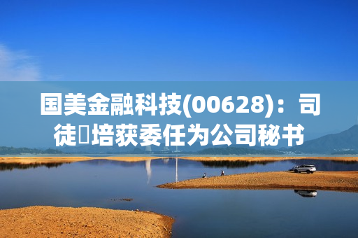 国美金融科技(00628)：司徒烱培获委任为公司秘书 第1张