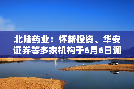 北陆药业：怀新投资、华安证券等多家机构于6月6日调研我司