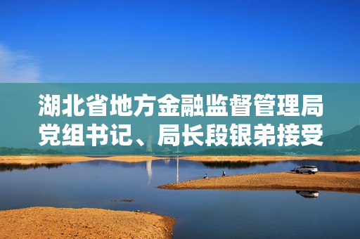 湖北省地方金融监督管理局党组书记、局长段银弟接受审查调查 第1张