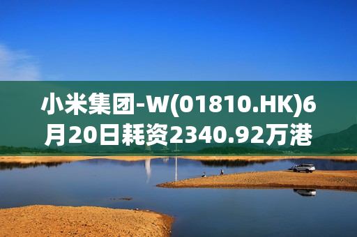 小米集团-W(01810.HK)6月20日耗资2340.92万港元回购220万股