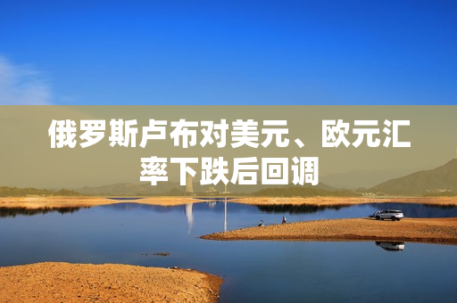 俄罗斯卢布对美元、欧元汇率下跌后回调