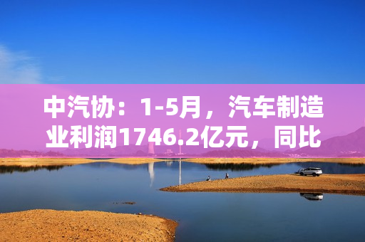 中汽协：1-5月，汽车制造业利润1746.2亿元，同比增加24.3% 第1张