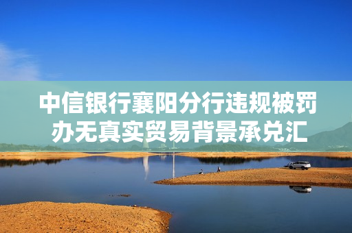中信银行襄阳分行违规被罚 办无真实贸易背景承兑汇票 第1张