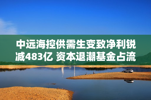 中远?？毓┬枭渲戮焕窦?83亿 资本退潮基金占流通股比例降至0.82% 第1张