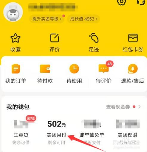 大神教你玩转美团月付，轻松实现套现赚大钱！