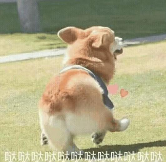 策略追踪| TRIX指标金叉，天岳先进趋势买点已现？ 第1张