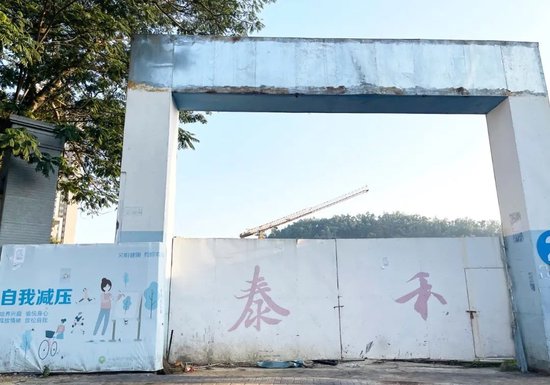 股价仅剩4毛3，昔日千亿房企泰禾集团，被深交所终止上市！ 第3张