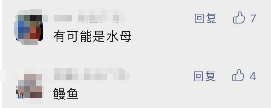 多名游客下海被不明生物咬伤！广西一地凌晨回应 第5张