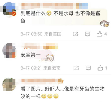 多名游客下海被不明生物咬伤！广西一地凌晨回应 第7张