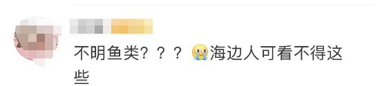 多名游客下海被不明生物咬伤！广西一地凌晨回应 第8张