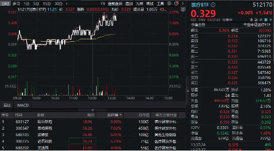 CXO午后飙升，昭衍新药涨停，泰格医药涨逾7%！医疗ETF（512170）快速拉升涨超1.5% 第2张
