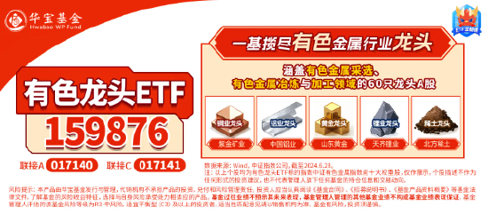 近150亿主力资金狂涌！有色龙头ETF（159876）单日飙涨3．89%！稀土异动拉升，北方稀土等6股涨停！ 第6张